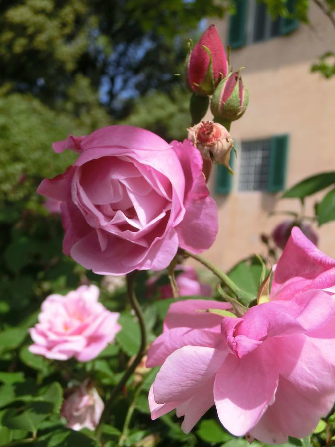 Villa Pacinotti Пістоя Екстер'єр фото