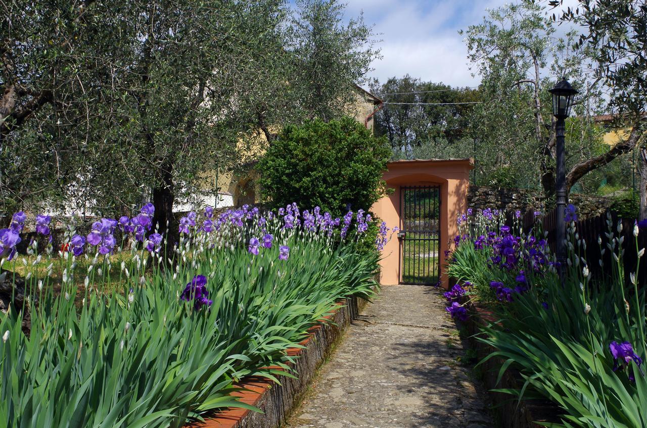 Villa Pacinotti Пістоя Екстер'єр фото